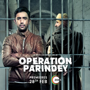 Operation Parindey - The MovieFlix Pro Review, Cast & Rating